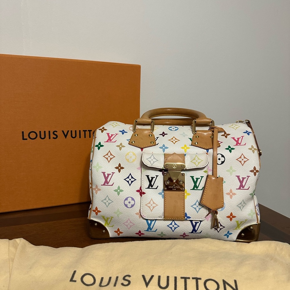 Louis Vuitton Multicolor speedy 30Handbag